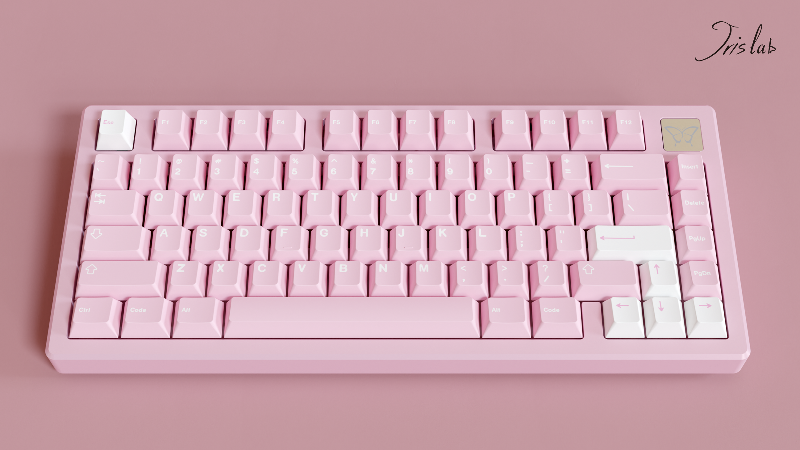 [Group-Buy] Jris75 PCB Gasket Mount Keyboard Kit - Pink（PVD Weight）
